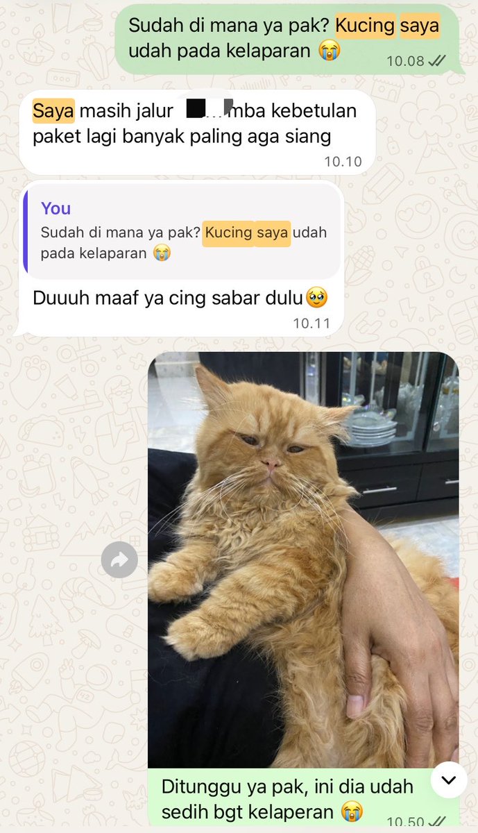 zhraniyah's tweet photo. jd inget pernah chatan sm kurir perkara kucing gw kelaperan https://t.co/hudzR0a2B7