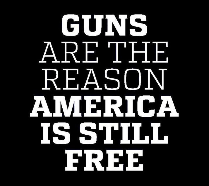 lydia4ussenate's tweet photo. Im a realist and see that our gun rights are the only reason we are still a free country. Vote Libertarian to protect your guns and shut down the mass surveillance state. https://t.co/LgdLiFSUhL