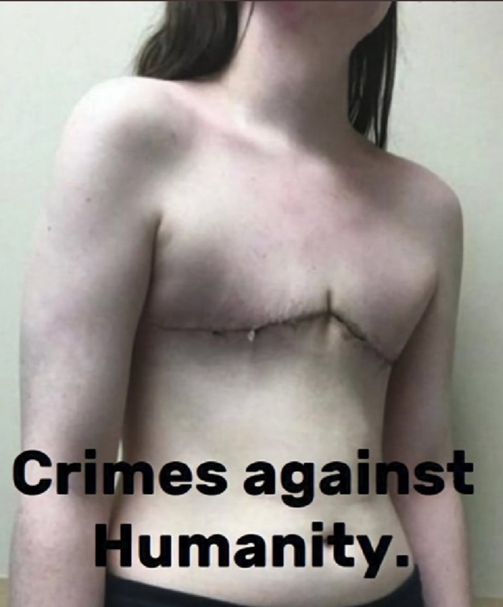 TheBasedHomo's tweet photo. @BraddrofliT But you don’t deny it’s happening, and are ok with it being done to children. https://t.co/8wwWfP1Gmw