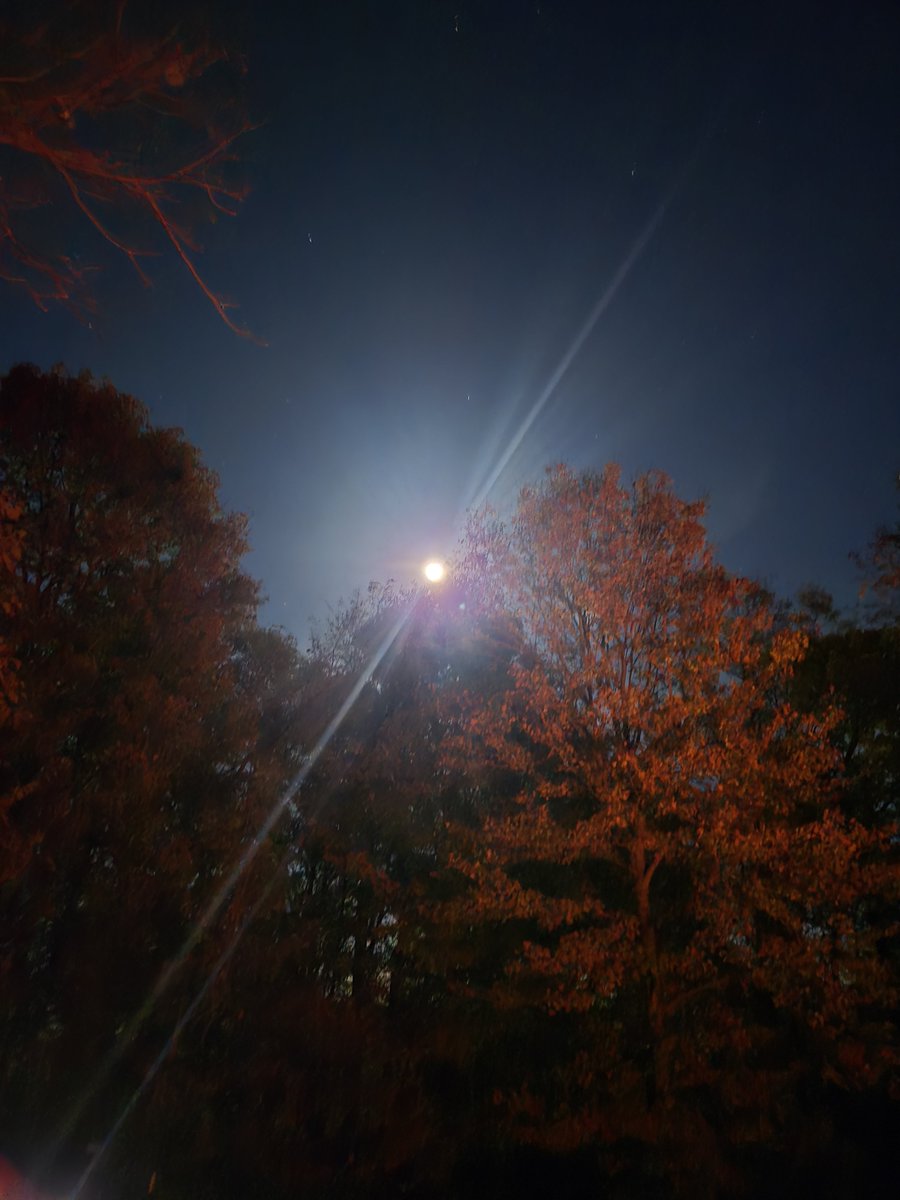 shellym113's tweet photo. Hunter's moon! So pretty and bright! @PaulPoteetIndy @SeanAshWX @angelabuchman @bam_weather
#camping #fallweather https://t.co/AVWbDJ54Hx