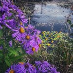Photo by Lєαƒ | Sᴛᴏʀɪᴇs ᴛᴏ Rᴇsᴛᴏʀᴇ ᴛʜᴇ Rᴇᴀʟ (@Elfhood_)