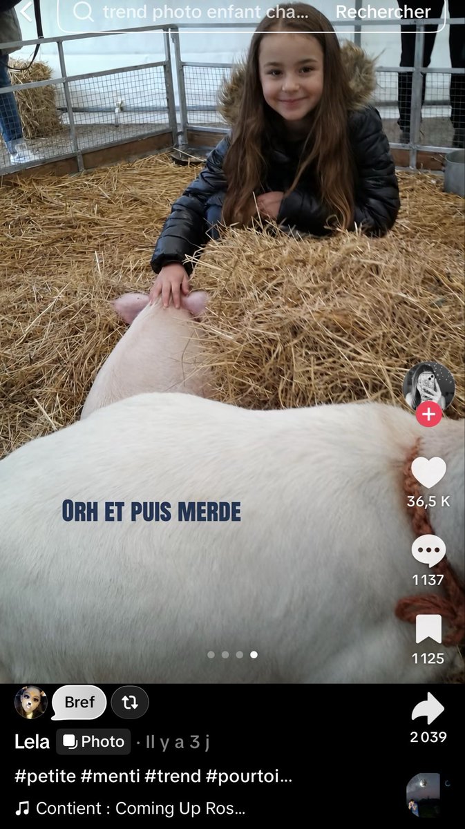 endormiepointfr's tweet photo. C pas forcé les trend… https://t.co/HVjynng50m