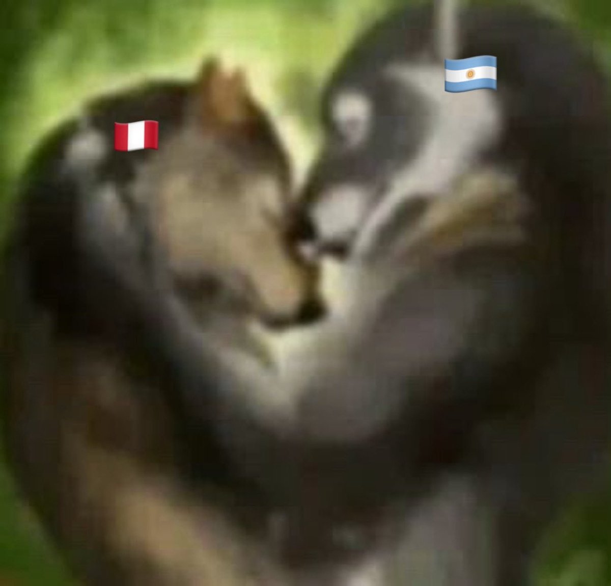 bunvgguk's tweet photo. q coincidencia para q perú y argentina tengan sub unidades la última fecha bdjsk al final éramos este meme CHAUUU https://t.co/6dQ2DO8oJ7
