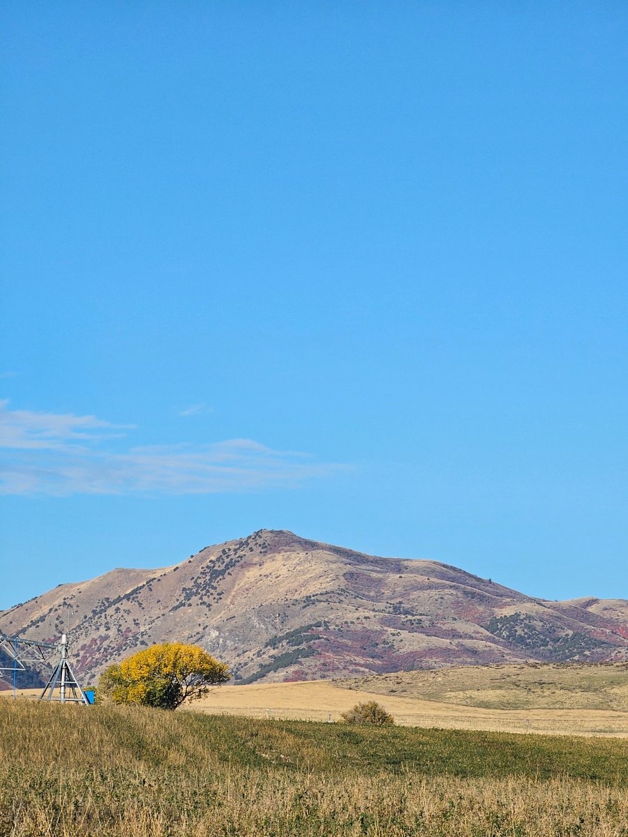 GriffithJen's tweet photo. Fall afternoon in the West. https://t.co/dcNMVAFrue