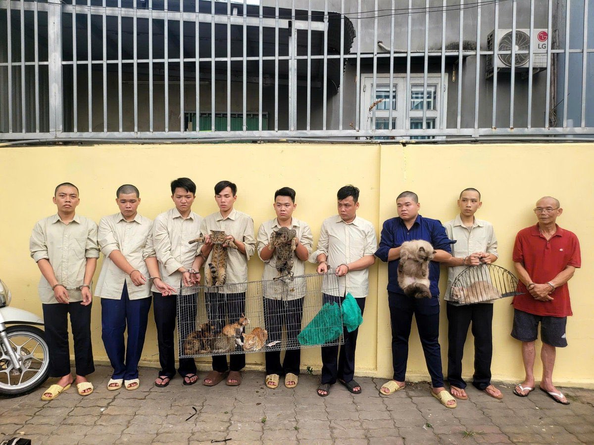ebiharaebichan's tweet photo. ベトナム人🇻🇳は猫や犬を食べます
犯罪ではありません
食文化です
真面目で勤勉、家族想い
でも平気で犬猫を食べます
文句を言う人はいません
お国柄です
ベトナム人の性根です

日本人とは合わないと思いますよ
いつか大変な事件を起こしますよ https://t.co/ndyLdsDCt0