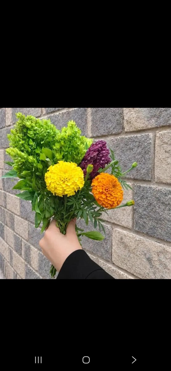 hpjq6i3's tweet photo. https://t.co/pabeAwHxQn