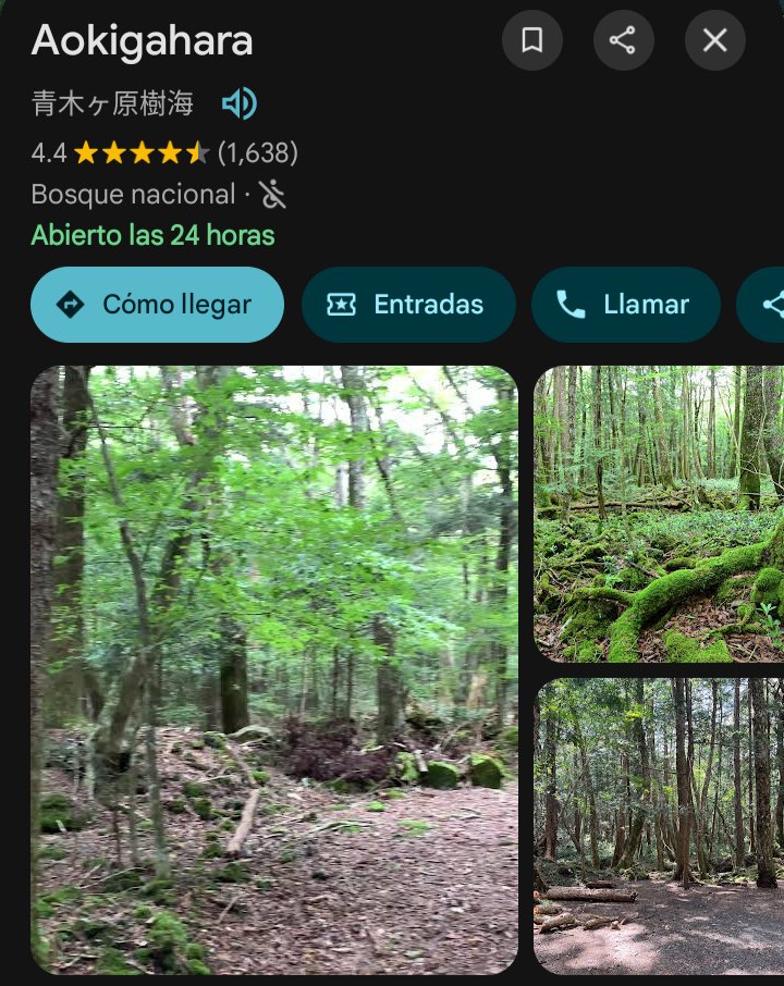 OOCMaps's tweet photo. ¿Por qué el feed se llenó de tweets contra los japoneses?
Me hicieron recordar de aquel bosque donde van los japos a darse de baja y por eso está lleno de cadáveres. https://t.co/JVFwEtdvmF