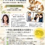 Photo by 🐾 藤村晃子（あきこ）🐕🐈神奈川区・無所属連合 保護猫活動 保護猫の家arigato (@akikofujimura)