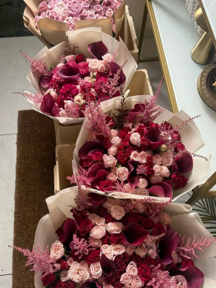 Liliestulipssss's tweet photo. https://t.co/8W1nX5HEnT