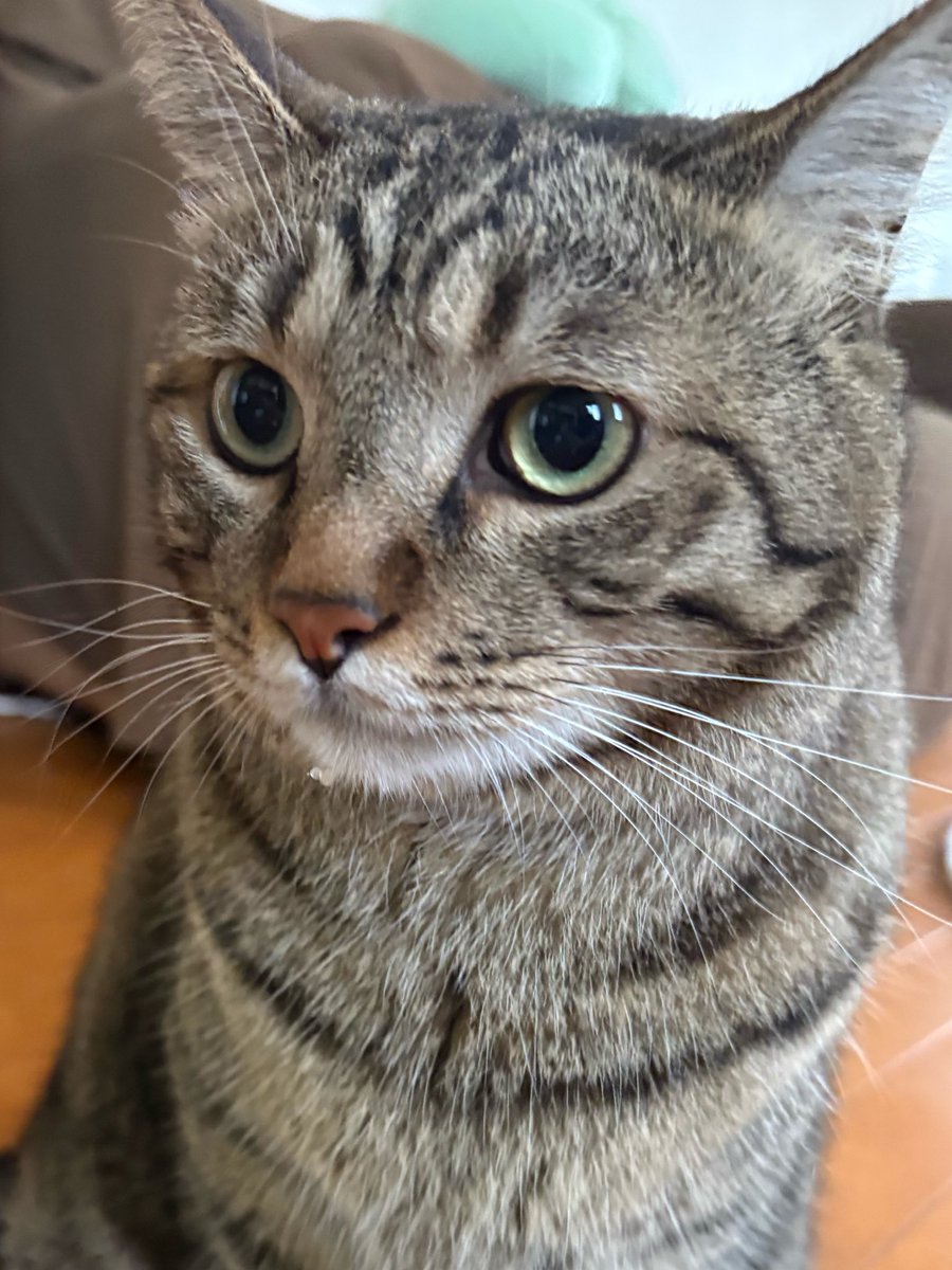 uJWJpFJGxHBmkUw's tweet photo. こんにちは😽☔️ https://t.co/6f9TzYrdox