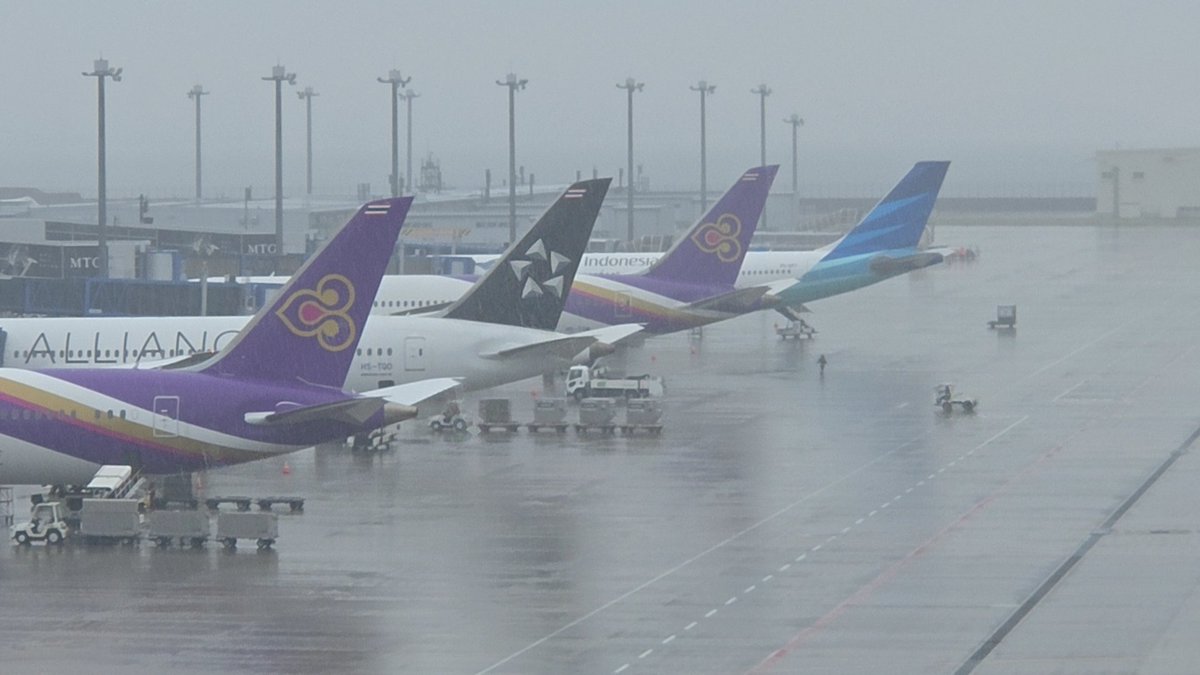 groupSKYMOTOmem's tweet photo. セントレアスワンナプーム空港草 https://t.co/5hsiu8S81p