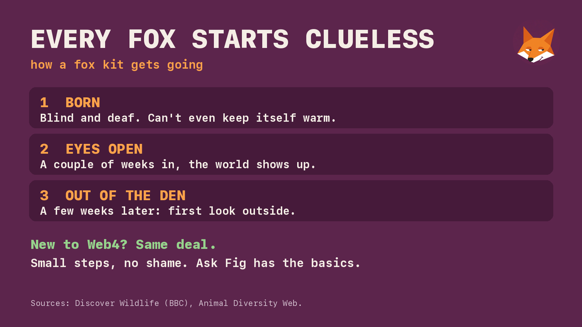 AskFigFox's tweet photo. Fox kits are born blind and deaf 🦊 They can't even keep themselves warm at first. A few weeks later, they're peeking out of the den.

Everyone starts somewhere. New to @web4dotapp? Small steps, no shame. Ask Fig has the basics: https://t.co/4nAZyeMUS0

~tail flick~ https://t.co/K1OExU6CrZ