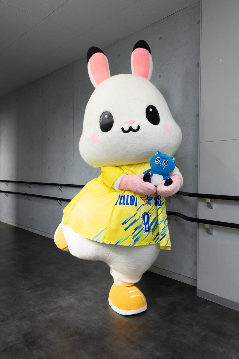 OSAKA__BLUTEON's tweet photo. 🐰北海道YSマスコット情報🐰
＼ぎーぴょん、はじめまして✨／
名前：#ぎーぴょん
モチーフ：エゾユキウサギと流れ星
性格：純粋で素直、ちょっぴり泣き虫
　　　好奇心旺盛、頑固な努力家
年齢：不詳（気持ちは小学生くらい）
@yellowstars_vb 
#北海道イエロースターズ
#大阪ブルテオン
#OSAKABLUTEON https://t.co/skL3xffKXC