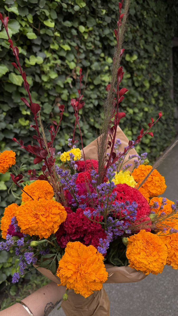 crasiul's tweet photo. otro hit de mi dealer de flores! https://t.co/MMVZvAXmNk