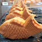 Photo by よいとまけくん【三星公式】日本一食べにくいお菓子やってます (@yoitomakekun)