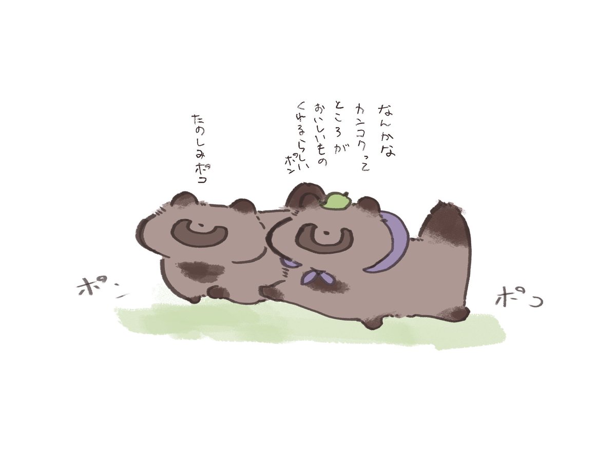 zazarasi53's tweet photo. タヌキ兄弟が韓国へ──── https://t.co/lBnHbk4pyH