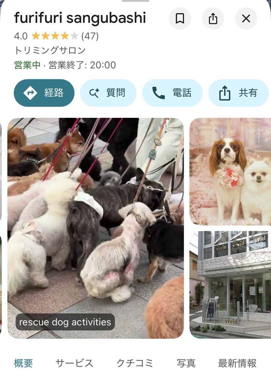 pooooh_tn's tweet photo. うわーーー、代々木とか原宿に
犬いっぱい連れて散歩させてる店の口コミなんか上がってるんやけど
えぐすぎ https://t.co/sphmhFVWKs