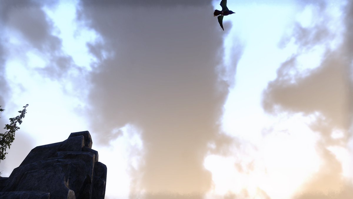 maggietina's tweet photo. Fly high away from the drama🦋🐈‍⬛

check out my bio for more  #ThePhotoMode #twitch #rpg #VPUnityHub #VPCommunity #VGPNetwork  #ESOFam #ElderScrollsOnline #Trending #Warcraft #vtuber #palia #conanexiles https://t.co/wciKI48hq4