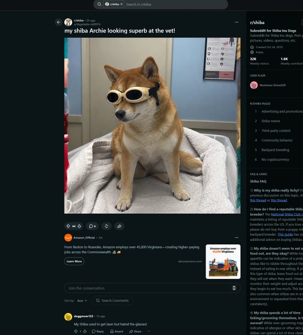ZzzzzzzzzSol's tweet photo. WAIT THERES LITERALLY A SHIBA WEARING ALON'S GLASSES GOING VIRAL ON REDDIT IS THIS NOT A GIGGA?  

name is Archie  

https://t.co/OEWZoWULbh https://t.co/DDs0z2jDhK