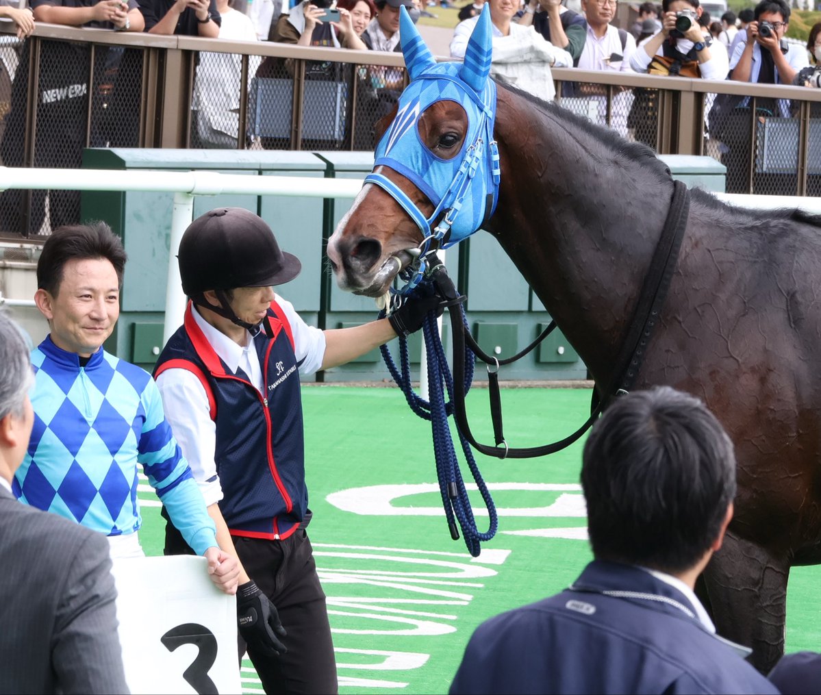 win027's tweet photo. 東京4R 障害3歳上未勝利戦は③ハーバーライト号&amp;難波剛健騎手が勝利 https://t.co/t2zfjbWxBG