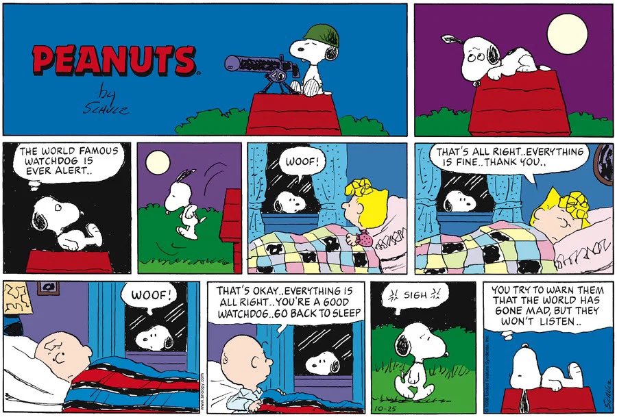 snoopyandfrien6 tweet picture