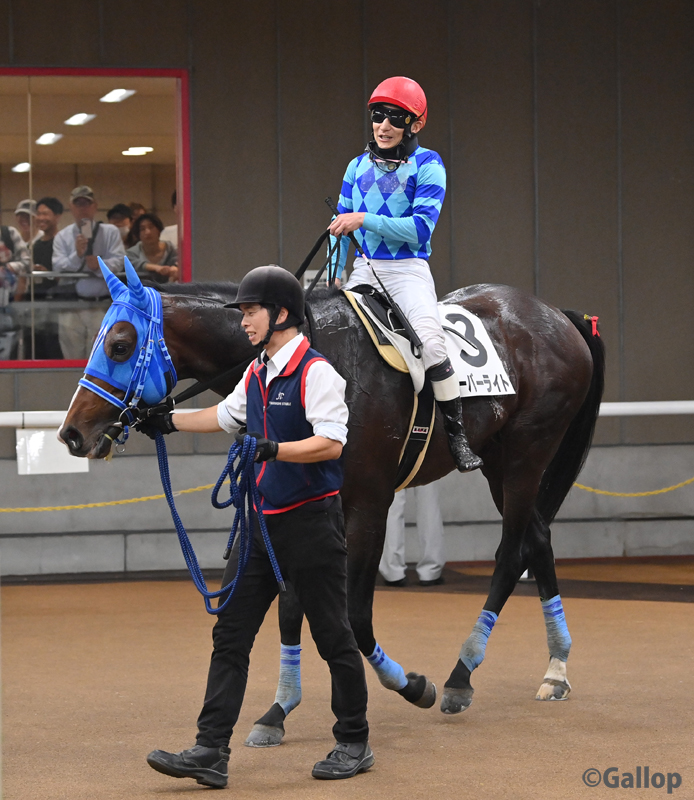 gallop_keiba's tweet photo. 東京4R、障害未勝利戦は3番人気 #ハーバーライト が勝利！ 障害5戦目で勝ち上がり！ https://t.co/BQ1s24VMZK