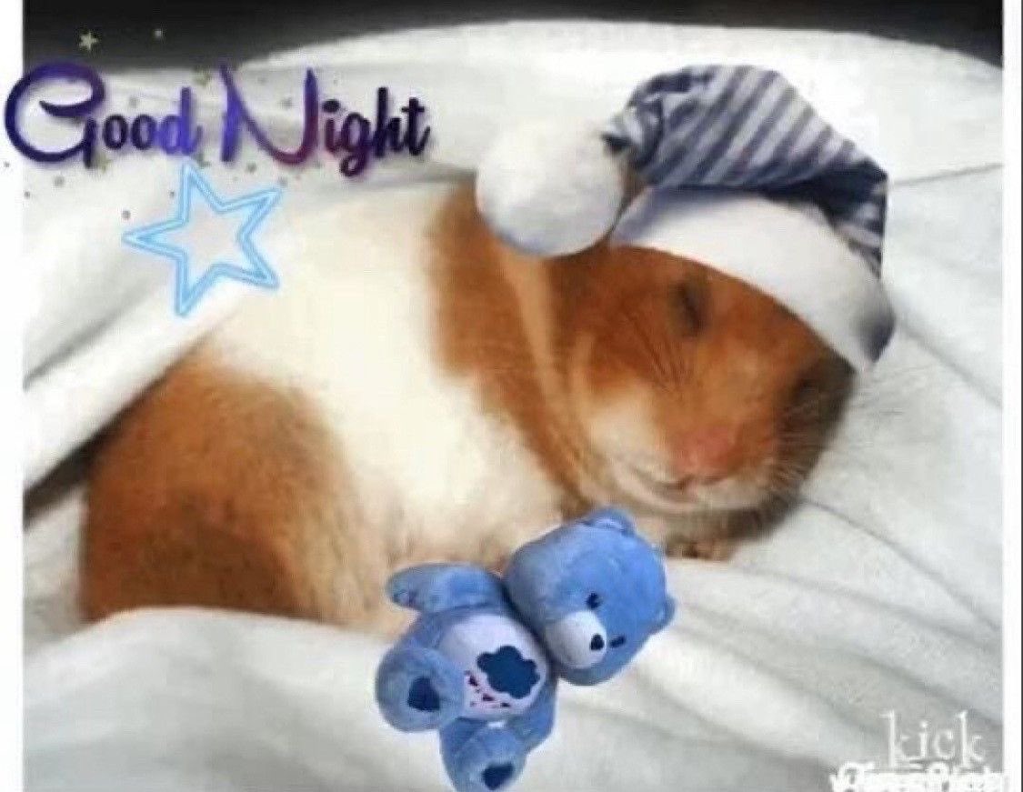 doggyieros's tweet photo. Ok i’m gonna go to sleep again since it’s literally 6am here!! gn moots, i hope they don’t play bullets or ghost of you while i’m gone .. https://t.co/Nny52F5vDk