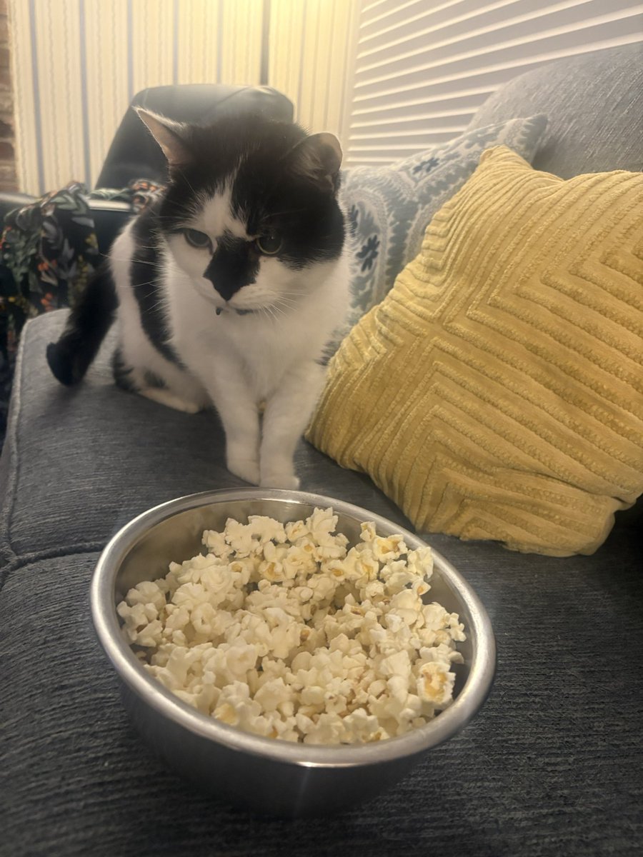 emilyjobot's tweet photo. tully loves popcorn and dad always shares 🥰 https://t.co/lVX2yhR6I2