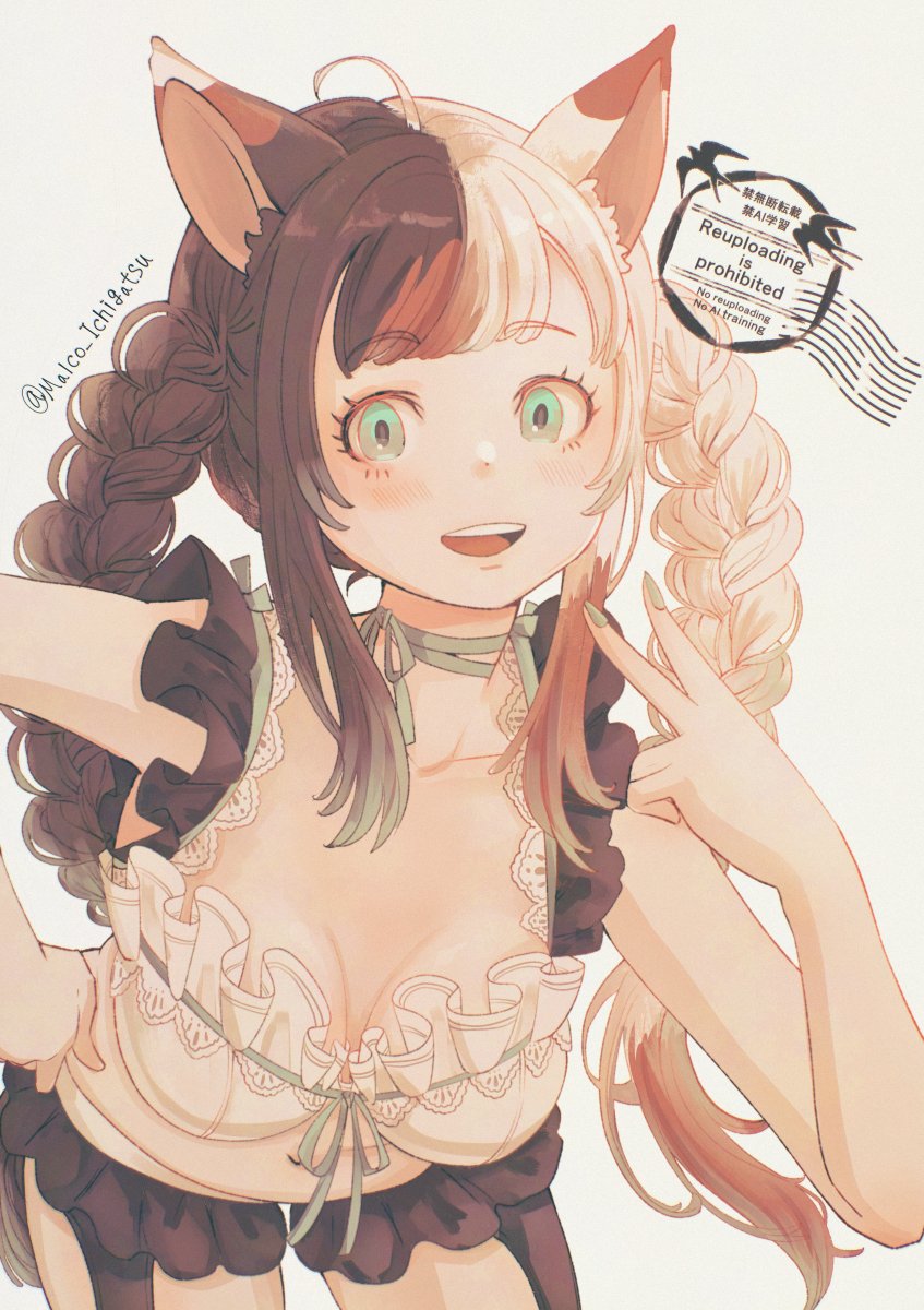 Malco_Ichigatsu's tweet photo. 三毛猫ぽっちゃり娘

#一次創作 https://t.co/V64TXCcSiy