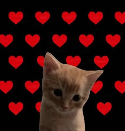 ZzzzzzzzzSol's tweet photo. like this cat 

ca : FRTPvNho8w98wwqiRoUbfMrRp1TFsYSkjbgk8gBgpump https://t.co/92HIZYSVdW