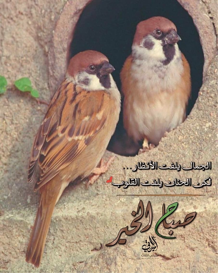 alari_71's tweet photo. https://t.co/Aa7aJpo5ug