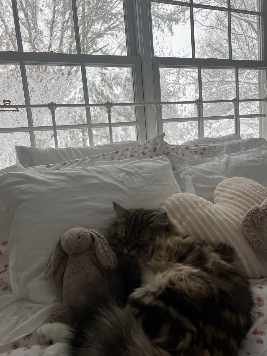 angelikkit's tweet photo. Spend a cozy November day at your ugw 
°☃️⋆.ೃ࿔*:･☕
-- an Interactive thread for edrtwt !
🧵🪡
#edrtwt #shedtwt #ricecaketwt #interactive #poll #thread https://t.co/QB6Iv9z62Q