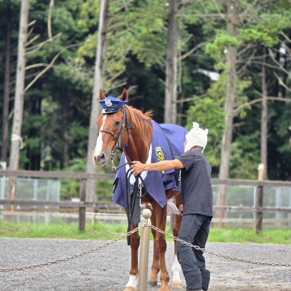 miko_ym1982 tweet picture