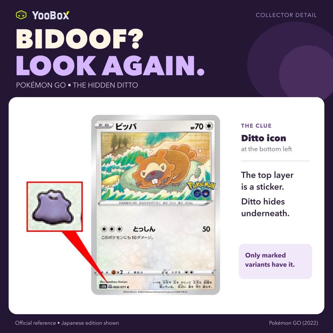 YooBoxGG's tweet photo. That Bidoof has a secret. 🫣

Some #PokemonTCG Pokémon GO cards hide Ditto under a peelable sticker. The tiny Ditto icon at the bottom left is your clue. Only marked variants have this layer.

#YooBox collector tip: look twice before you file it away.