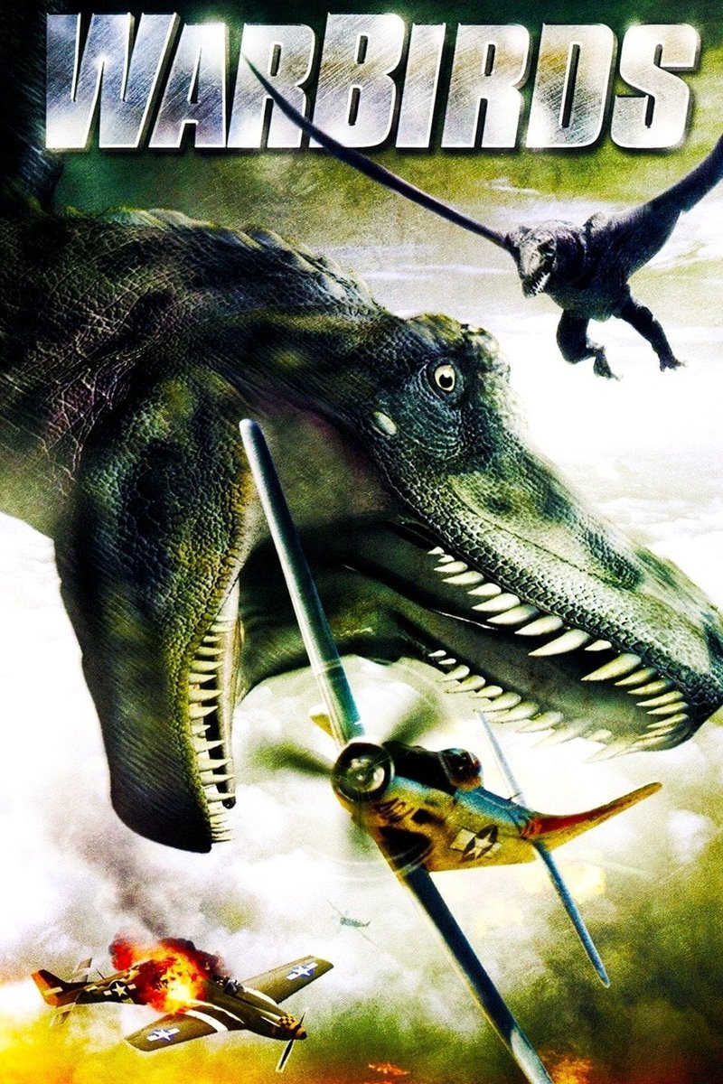 StreamWithKev's tweet photo. Of course, Warbirds (2008) is crap, but like the best SyFy Channel original movies, it's entertainingly bad. C'mon it's 
Pterosaurs in WW2, give it some leeway 😂

D+
FilmYoyo 24 https://t.co/0iByACGTeX