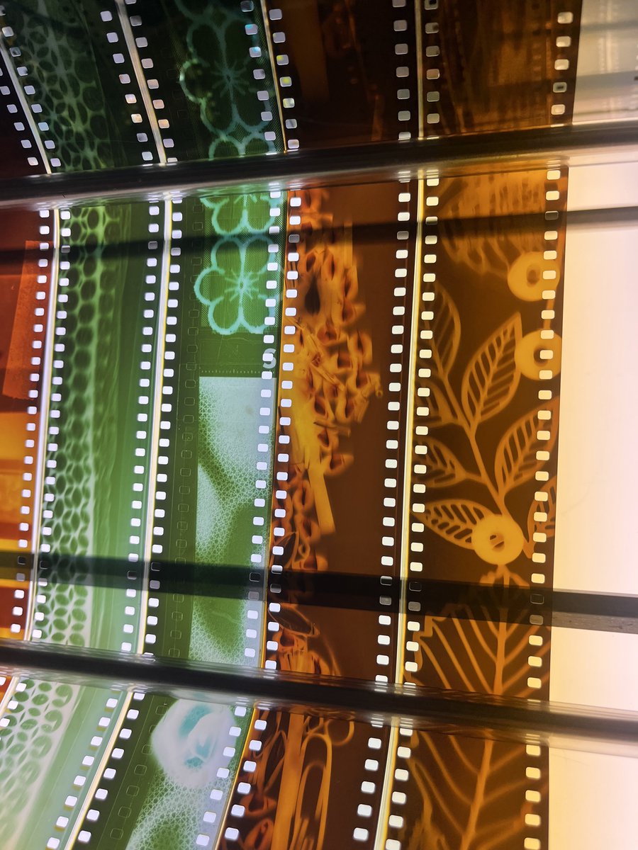 dvsch's tweet photo. Some images from tonight’s photograms on 35mm class I taught at Mono No Aware (I only messed up developing one person’s film—she was very chill about it but I still felt bad) https://t.co/CyfcX0RLKM