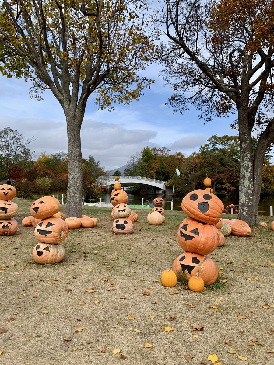 liver_com's tweet photo. #今日のかぼちゃ https://t.co/35JxWIVVSM
