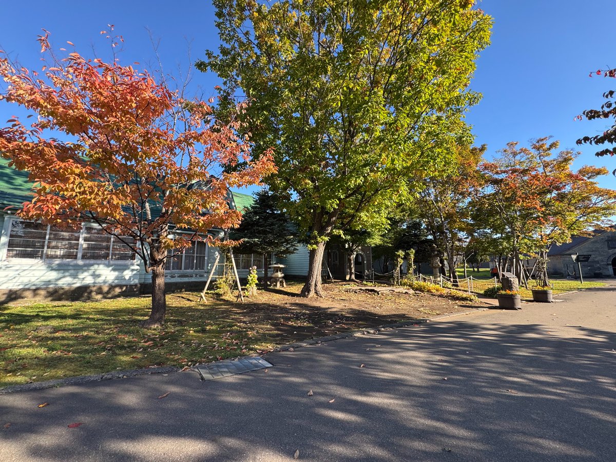 nikka_yoichi's tweet photo. 蒸溜所に、秋がやってきました🍁
気温が下がり、寒暖差が目立つようになってきた今日この頃。
蒸溜所内の木々も緑から黄色へ、ところによっては赤く色づき始めています。

この景色が真っ白な雪景色になるのも、きっともうすぐ。
冬が来て、雪が降って、そして新しい年へ。
私は冬の余市がとても好きなのでこれからの季節の移り変わりが、今から楽しみです⏳

＃北海道余市蒸溜所 ＃北海道旅行 ＃ニッカウヰスキー ＃紅葉 #秋