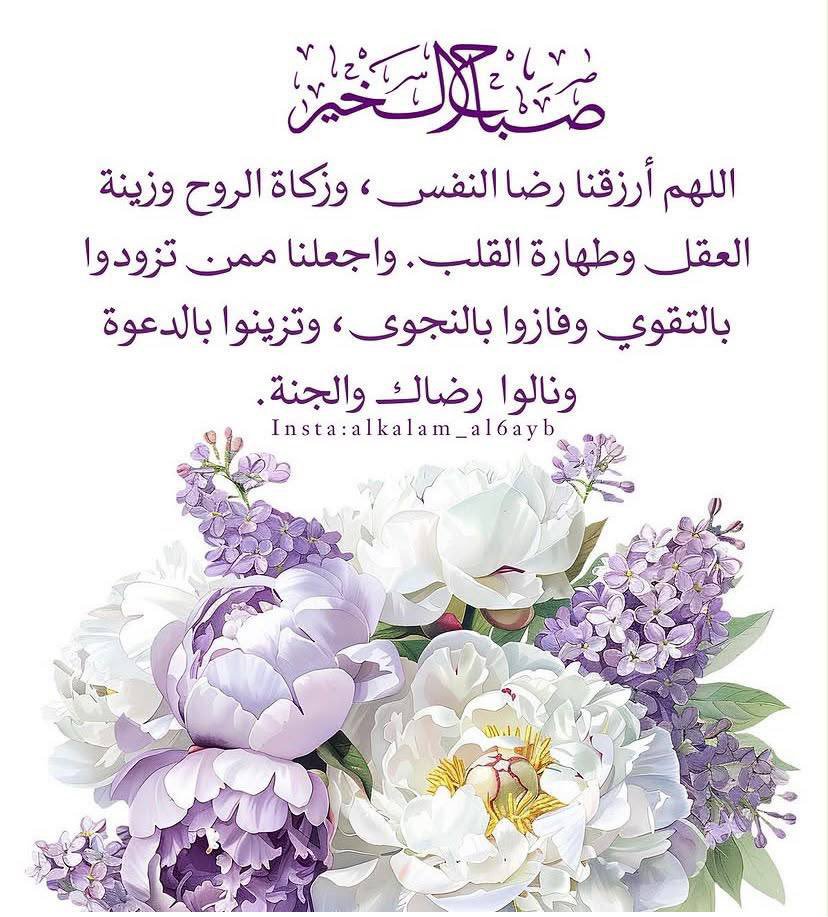 alameri66728245's tweet photo. @faleelmhm صباح الخير والهنا https://t.co/nRXe4VOJyh