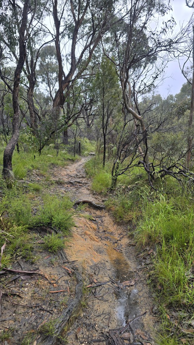 EvilBeastLord's tweet photo. Almost 11km hike in light rain was nice today https://t.co/LKs19eZ3tE