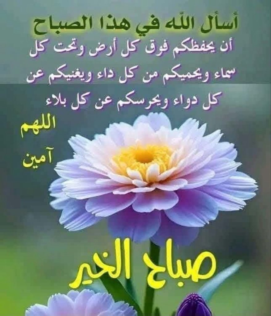 ali_h8392's tweet photo. @munasalim961 https://t.co/ldisEIZwEF