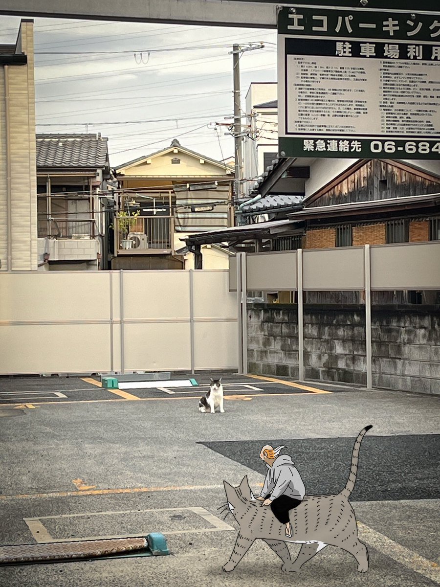 ncopsi's tweet photo. 【朝礼】ネコが乗り物であったなら、ふかふかしていて、あたたかくて、上下動も少なくてたいへん乗り心地がよい。ただしネコパーキングに停めておかないと駐猫違反で処罰される。ネコパーキングでは、ネコたちはのんびり昼寝をして運転手を待つ。今日はマンガ、原稿で本気出す。断酒は25分の17日目。 https://t.co/AQIs3VoUMJ