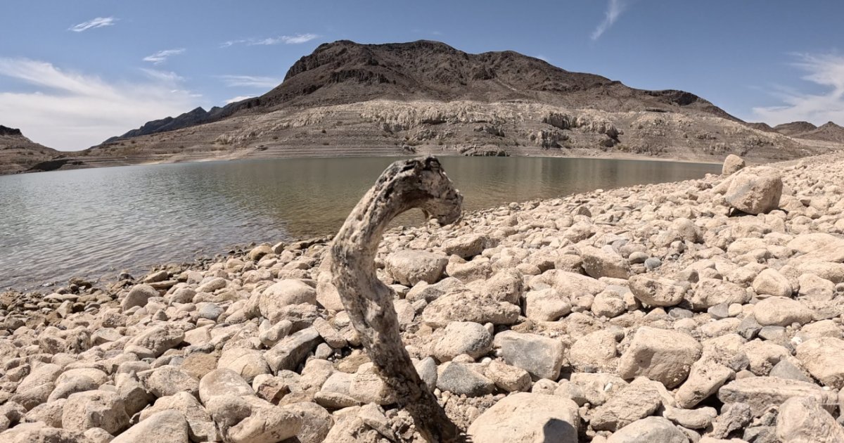 abc15's tweet photo. Arizona's historic legal fight over Colorado River water is drawing a warning from one of the Trump administration's top officials, even as an Arizona congressman defends the state's decision to take the federal government to court. https://t.co/yEvbhslZIs