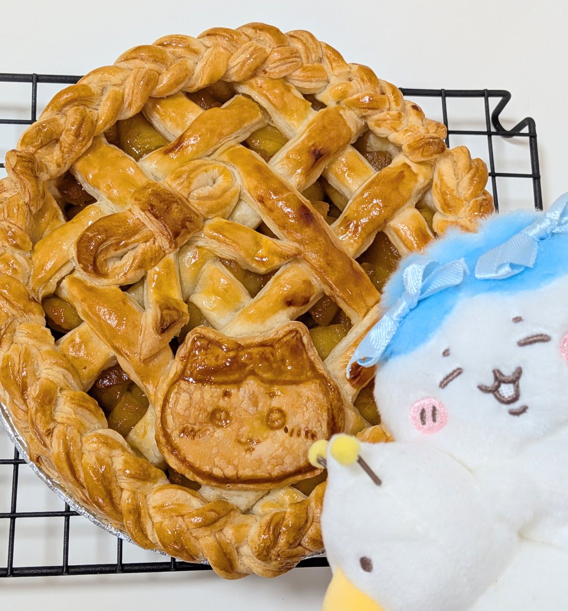 pochette_kuma's tweet photo. ほめられリボンのアップルパイ🍎🥧 
＼       完成でーす꒰(՞..◜ヮ◝..՞)꒱🎀       ／

 #キッチン担当なシサくり https://t.co/jd57SlTWx2
