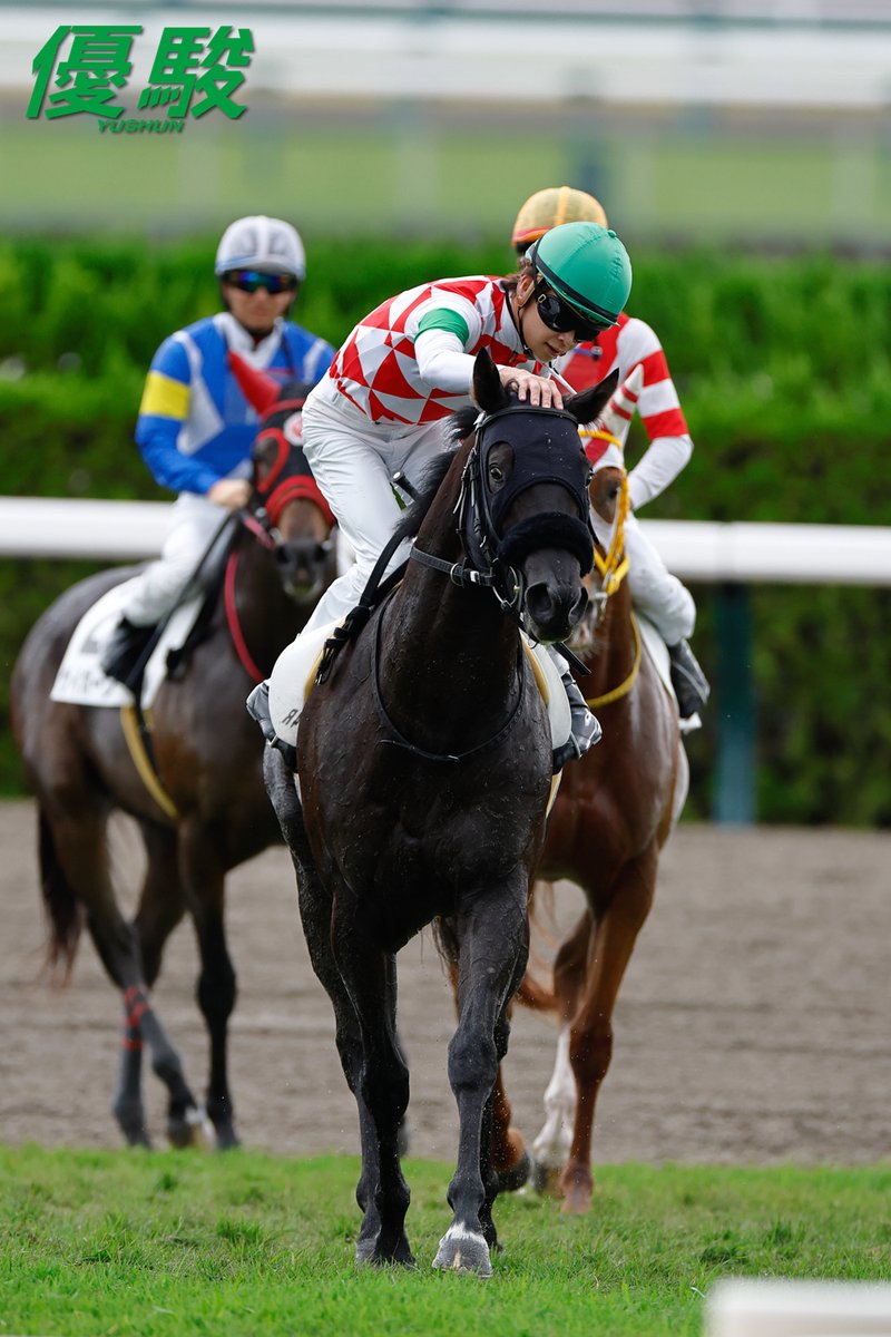 YUSHUN_Magazine's tweet photo. 京都第４レース「２歳新馬」(ダート1400m)は #角田大和 騎手騎乗の #パッションシーザー が２番手から抜け出し１番人気に応えました。メイショウアンブルが3/4馬身差の２着。
勝ちタイムは１分25秒８、上り３ハロン36秒９(不良馬場)。
父シルバーステート、母ウイッチクイーン(父キングヘイロー)、母の兄はトウショウドラフタ(ファルコンＳ)。