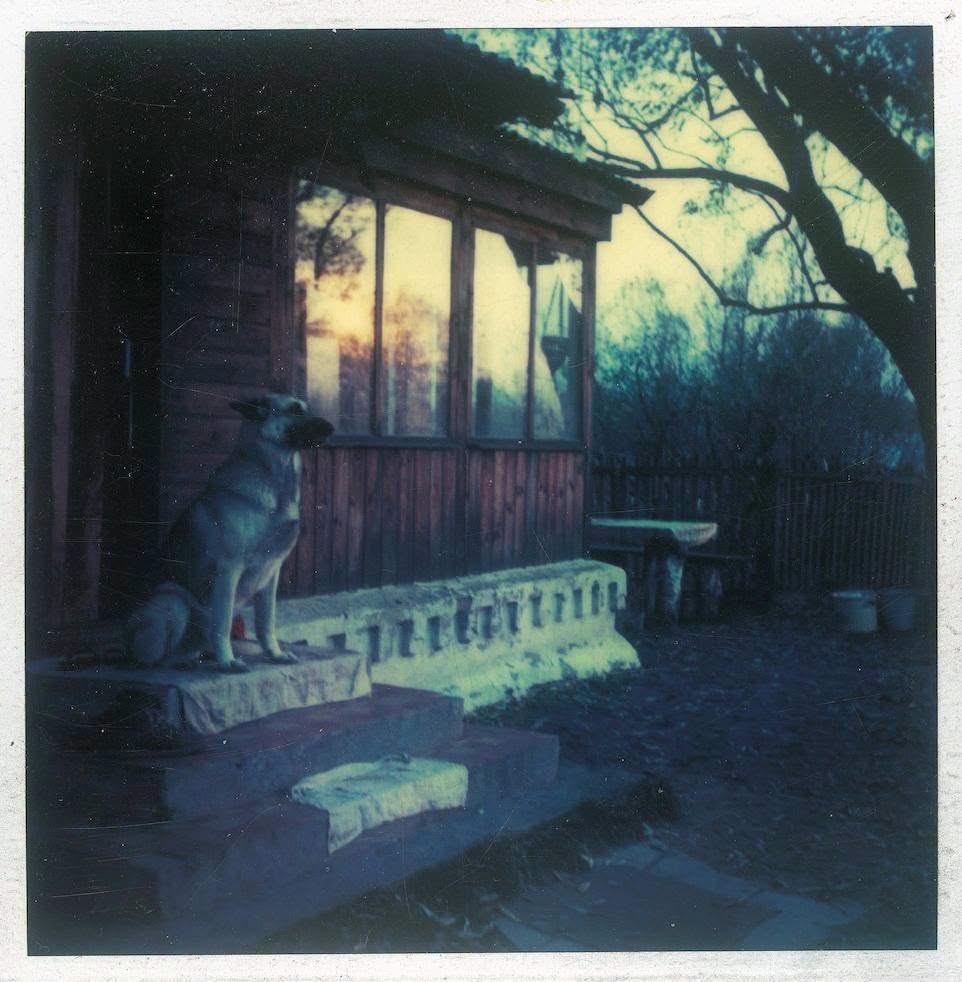emmanu_elle_'s tweet photo. Andrey Tarkovskij Polaroid https://t.co/amia1Na5Ol