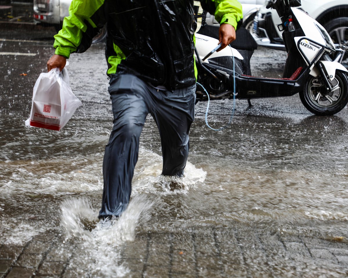 J0jLy's tweet photo. [雨で道路が水を被り、困った挙句にやっと手に入れた飲み水で一息ついたが、変な蛹が道端に転がってるのを見てちょっと乖] https://t.co/rUciC6PFyX