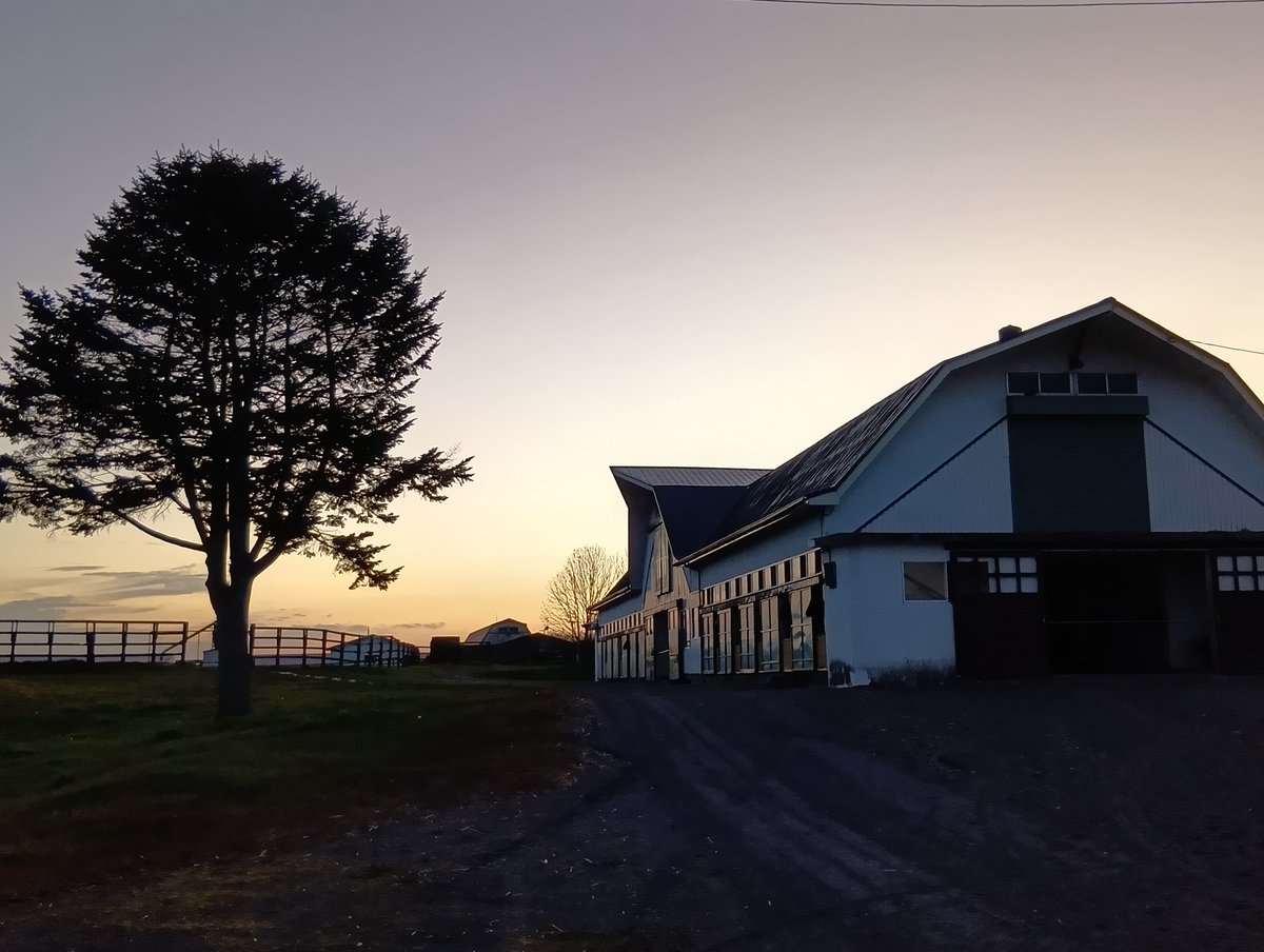 chiyoda_farm's tweet photo. ゴーイントゥスカイ🐴⋯
馬名の意味は“空を目指し、高い目標や夢を追い求める”

千代田牧場が、やっと届いた牡馬クラシック。
オーナーが、夢に見ていた“菊花賞”

誓願成就叶うことができました。

ゴーイントゥスカイ🐴が幼き頃に過ごした故郷の空は、今日も美しい✨ https://t.co/OlvwwQwOKQ