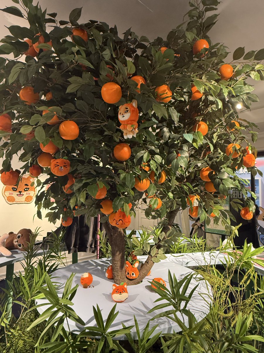 b8Rng2VLbldB6An's tweet photo. orange🍊 https://t.co/Y03iuBTNNJ