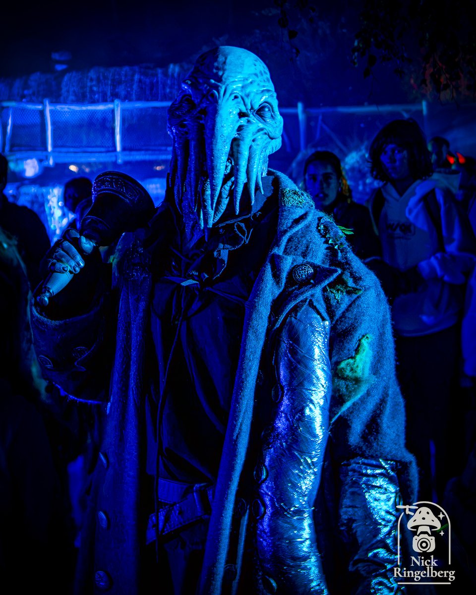 RingelbergNick's tweet photo. Halloween @ Toverland
#toverland #halloween #themeparks #photo #halloween2026
📍 Toverland https://t.co/todesUGJE4